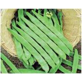 Defne Store Fasulye Helga Tohumu - Aksel 10 G - Standart - Çok Renkli