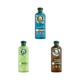 Defne Store Herbal Essences Seti | Onarıcı Argan Yağı Şampuan 350ML X1 + Yatıştırıcı Aloe Içeren Sülfatsız Şampuan 350 ml X1 + Nemlendirici Hindistan Cevizi Kokulu Şampuan 350ML X1 - Option-1