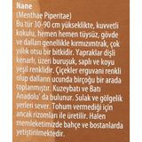 Defne Store Nane Yaprağı Yağı (20 Ml) - Option-1