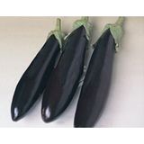 Defne Store Patlıcan Aydın Tohumu - Aksel 10 G - Standart - Çok Renkli