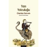 Defne Store Tazı Yolculuğu - Belirtilmemiş