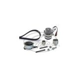Defne Store Volkswagen Golf 7 ile Uyumlu 1.6 Tdı Dizel Triger ve Devirdaim Seti 2013-2019 - Çok Renkli