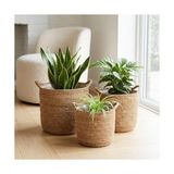 Defne Store Yuvarlak Kulplu Hasır 3'lü Saksı Seti; El Örmesi Doğal Dekoratif Saksı, Iç Koruma Poşetli Hasır Saksı Seti, Büyük 25X24 cm Orta 22X22 cm Küçük 19X20 cm - Standart - Çok Renkli