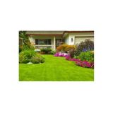 DEFNE TOHUMCULUK 7li Karışım Çim Tohumu 1 Kg