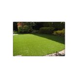 DEFNE TOHUMCULUK Grass Seed 7 Günde Çimlenen Üzerine Basılabilir Karışım Çim Tohumu 500 gr 6 Lı