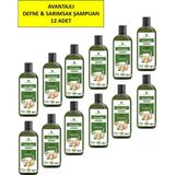 Defne Ve Sarımsaklı Şampuan, Saç Dökülmesine Karşı Yardımcı 485 Ml 12 Paket