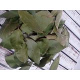 DEFNE YAPRAĞI ( Kurutulmuş) 45 GR