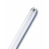 Degenbao T5 21W 85 cm Mavi Lamba