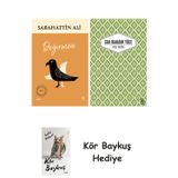 Değirmen + Yaslı Mızıka + Kör Baykuş