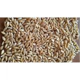 Değirmenim 1 kg İşlenmemiş Buğday