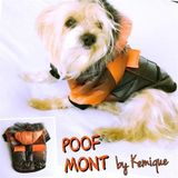 Degrade Turuncu Poof Bang By Kemique Köpek Montu