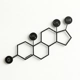 DEKADRON Metal Duvar Sanatı, Testosteron Molekülü, Metal Duvar Dekoru, Sembol İnek Sanatı, Bilim Sanatı, Biyoloji Kimya Sanat Ofis Dekorasyonu (30" G x 21" Y / 75x52cm)