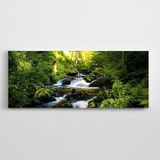 Dekolata Akan Su Yeşillik Panoramik Kanvas Tablo 40 x 100 CM