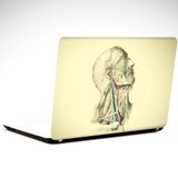 Dekolata Anatomi 39x27 cm Laptop Sticker