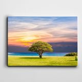 Dekolata Deniz Ağaç 40x60 cm Kanvas Tablo
