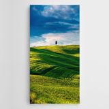 Dekolata Doğa Manzara Yeşillikte Uzak Ağaç Kanvas Tablo 100 x 200 CM