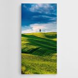 Dekolata Doğa Manzara Yeşillikte Uzak Ağaç Kanvas Tablo 20 x 40 CM