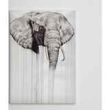 Dekolata Fil 30x40 cm Kanvas Tablo