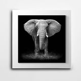 Dekolata Fil Resmi Kare Kanvas Tablo 100 x 100 CM