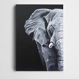 Dekolata Fil Siyah Beyaz Kanvas Tablo 40 x 60 CM