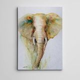 Dekolata Fil Suluboya Mini Kanvas Tablo 35 x 50 CM
