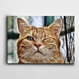 Dekolata Göz Kırpan Kedi 100x140 cm Kanvas Tablo