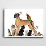 Dekolata Hayvanlar 60x85 cm Kanvas Tablo