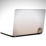 Dekolata Kedi ve Yengeç Laptop Sticker 13 İnch (34X24CM)