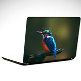 Dekolata Mavi Kuş 40.5x27 cm Laptop Sticker
