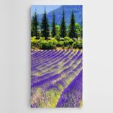 Dekolata Mor Çiçekler Çam Ağaçları Kanvas Tablo 50 x 100 CM