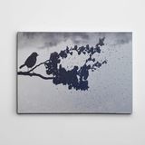 Dekolata Özgür Kuş Siyah Beyaz 70x100 cm Kanvas Tablo