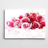 Dekolata Pembe Güller 70x100 cm Kanvas Tablo