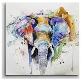 Dekolata Renkli Fil Kare 50x50 cm Kanvas Tablo