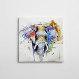 Dekolata Renkli Fil Kare Kanvas Tablo 60 x 60 CM