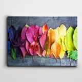 Dekolata Renkli Yapraklar 25x35 cm Kanvas Tablo