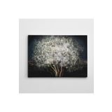 Dekolata Siyah Beyaz Mini 50x70 cm Kanvas Tablo