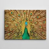 Dekolata Tavus Kuşu Kanvas Tablo DK001450 40 x 60 CM