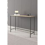 Dekopratik Canvas Metal Dresuar 100 cm Genişlikte Siyah Renk ve Country Tasarım Özellikleri