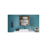 Dekor Fim Df16103br 2 Kapaklı Aynalı Banyo Dolabı Çok Amaçlı Banyo Dolabı
