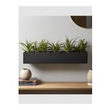 Dekor Modern Duvar Tipi Uzun Saksı – Mat Siyah (24.5X6.5CM)