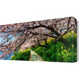 Dekor Sevgisi İlkbahar Ağaç Manzarası 105x70 cm Kanvas Tablo