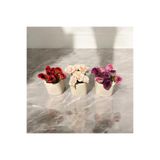Dekora Çiçek 3'lü Mini Vazo, Süslük, Kahve Yanı Sunumu, Hediyelik, Dekoratif Mini Set Çiçek Yapay Mini Gül 3 Renk