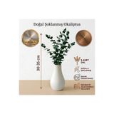 Dekora Çiçek Vazo Dahil Şoklanmış Doğal Okaliptüs Demeti 5 Dal Beton