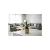 Dekora Çiçek Yosun İpli Mini Saksı, Süslük, Kahve Yanı Sunumu, Hediyelik, Dekoratif Mini Okaliptus Doğal Çiçekli