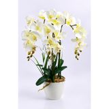 Dekoratif 3'lü Tropic Rüya Yapay Islak Orkide Tanzimi Beyaz 60 Cm