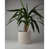 Dekoratif Beton Saksı- Büyük Boy - Tek Renk / Mermer Deseni Görünümlü - Silindir 4.5l - 20X18CM - Beyaz