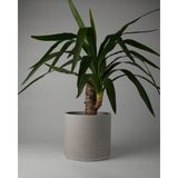 Dekoratif Beton Saksı- Büyük Boy - Tek Renk / Mermer Deseni Görünümlü - Silindir 4.5l - 20X18CM - Gri