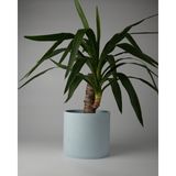 Dekoratif Beton Saksı- Büyük Boy - Tek Renk / Mermer Deseni Görünümlü - Silindir 4.5l - 20X18CM - Mavi