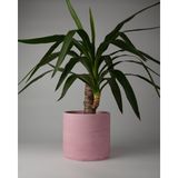 Dekoratif Beton Saksı- Büyük Boy - Tek Renk / Mermer Deseni Görünümlü - Silindir 4.5l - 20X18CM - Pembe