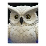 Dekoratif Hedwig Baykuş Biblo | baykuşdekor
